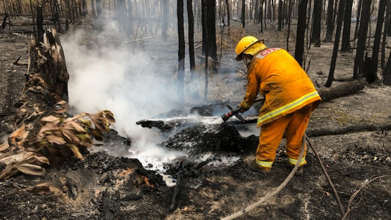 Lending a helping hand to bushfire communities
