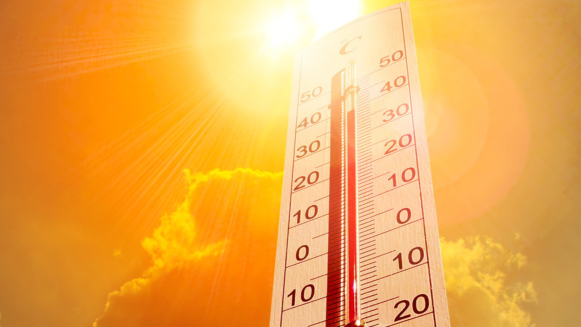 Survive the Heat this Summer