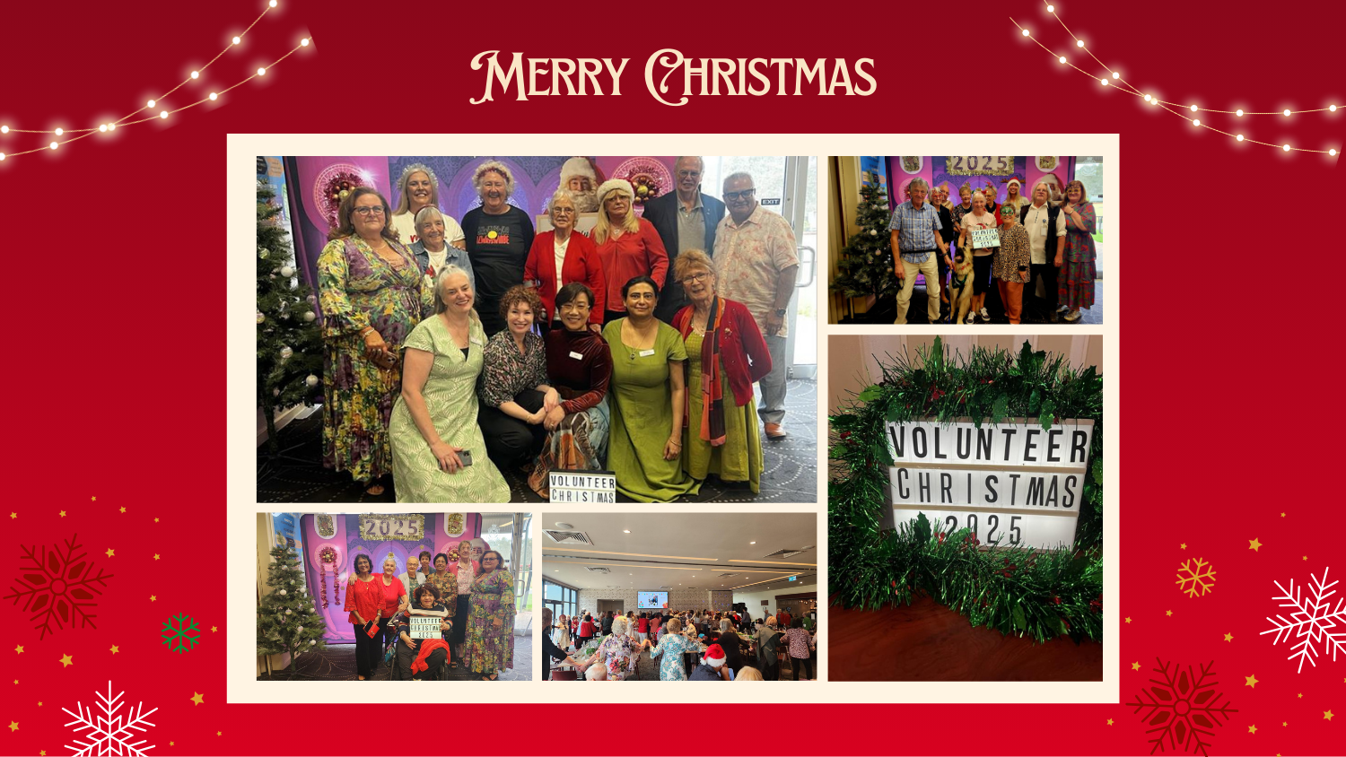 Volunteers Shine Bright This Christmas Season 