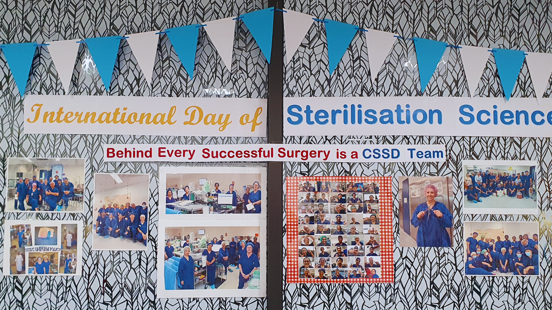 Spotlight on CSSD: A team worth celebrating